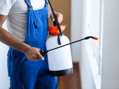 About Dwellsecure Control - pest control experts in Grants Pass